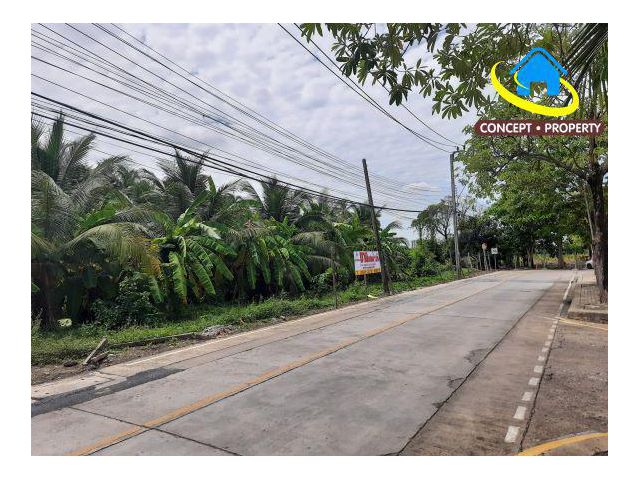 ขายที่ดิน 20 ไร่ พุทธมณฑลสาย2ซอย 7 ซอยวัดบุณยประดิษฐ์ แขวงบางไผ่ เขตบางแค