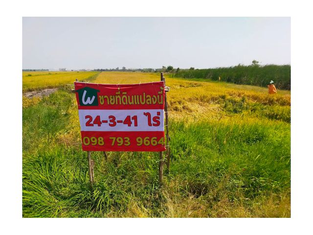 ขายที่ดิน 24-3-43 ไร่ คลอง 10 ลำลูกกา ปทุมธานี
