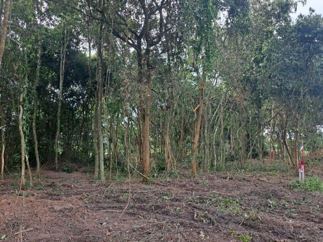 280,000 ยกแปลง 1 ไร่ #ขายที่ดิน ต.ดงบัง อ.ประจันตคาม จ.ปราจีนบุรี