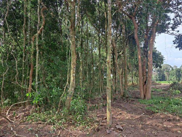 280,000 ยกแปลง 1 ไร่ #ขายที่ดิน ต.ดงบัง อ.ประจันตคาม จ.ปราจีนบุรี