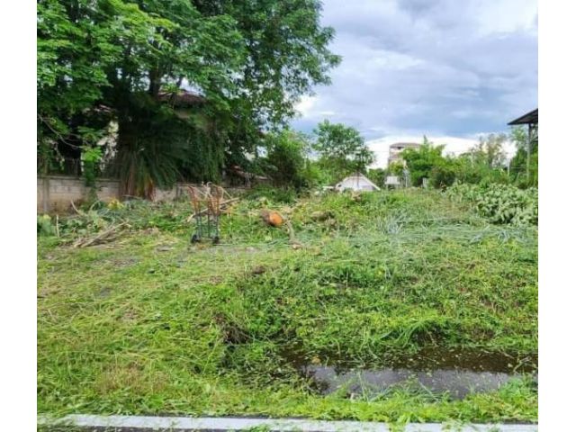 ขายที่ดินหลังวัดป่าแดดห่างเพียง 400เมตร ถมดินเรียบร้อย