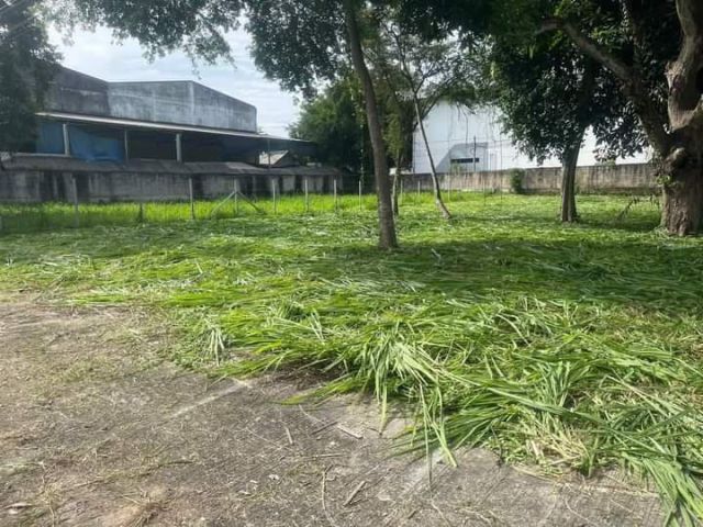 ขายที่ดินบ้านดอนแก้วแม่ริมหน้ากองพันสัตว์พร้อมโอน