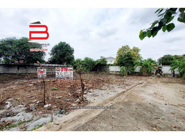 ที่ดินเปล่า ซอยจามจุรี เนื้อที่ 166 ตรว. ถนนราชพฤกษ์ อ.เมืองปทุมธานี จ.ปทุมธานี