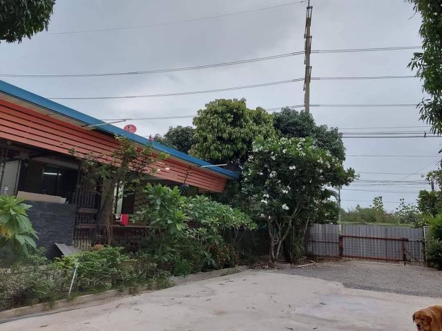 ขายบ้านสวนพร้อมที่ดินหัวสำโรง 5 ไร่ ติดถนนเส้น 3551 ตรงข้ามนิคมเกตเวย์ อ.แปลงยาว ฉะเชิงเทรา