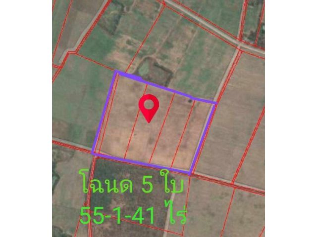 ที่ดิน55ไร่ทำฟาร์มไก่ได้