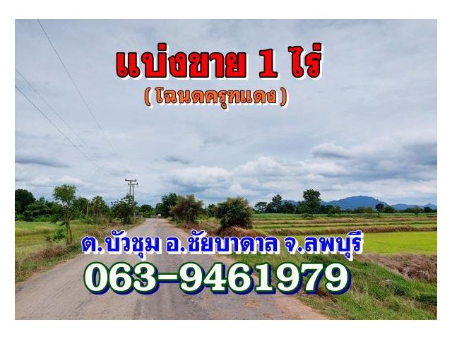 ทีดิน(โฉนด)ไร่ละ190,000บาท.ติดถนนลาดยาง ต.บัวชุม อ.ชัยบาดาล จ.ลพบุรี