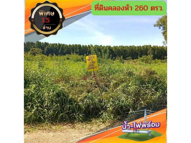 ขายถูก️ #ที่ดินคลองห้า260ตรว. แปลงสวยขายถูกที่สุดในย่านนี้️