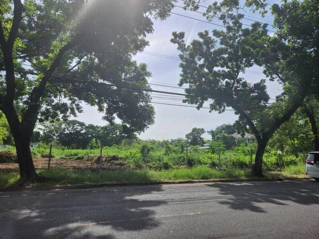 Land For Sale ขาย ที่ดิน 2 ไร่กว่า หมู่บ้านนวธานี ทำเลดีติดถนนเมนหมู่บ้าน ด้านหลังติดสนามกอล์ฟ ใกล้ทางขึ้น-ลงมอเตอร์เวย์