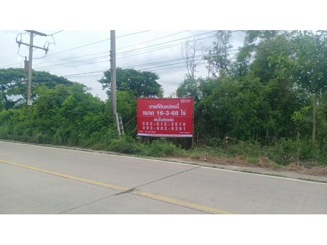 ขายที่ดินเปล่า ขนาด 16-3-68 ไร่ ติดซอยองค์การบริหารส่วนจังหวัดปทุมธานี และซอยแผ่นดินธรรม ลำลูกกา ปทุมธานี