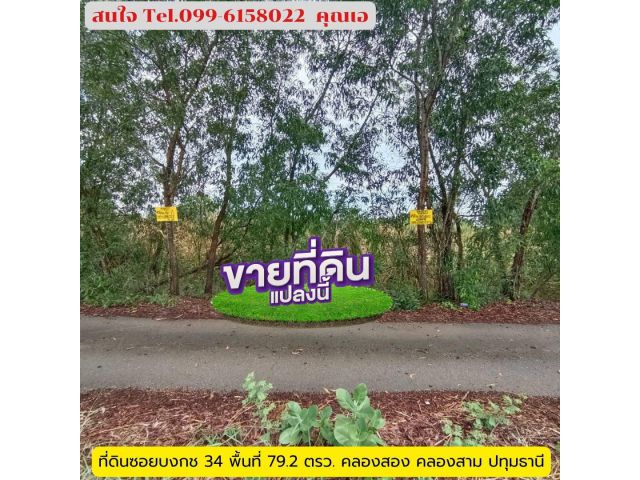 ขายถูก ที่ดิน 79.2 ตรว.ซอยบงกช 34 คลองสองคลองหลวง ปทุมธานี