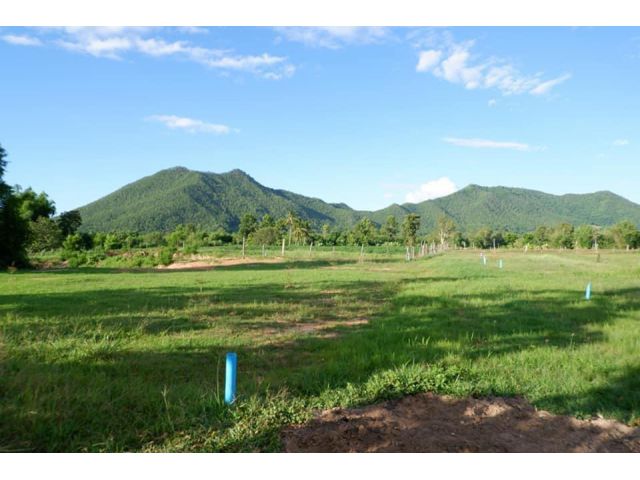 ที่ดินสวย 2 งาน ใกล้ตัวเชียงคาน 530000  บรรยากาศบ้านสวน ไฟฟ้า ติดถนนซอย