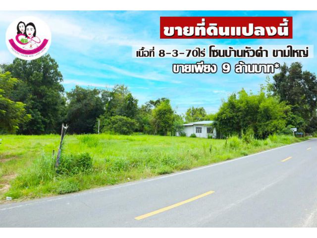 ขายที่ดินเปล่า 8-3-70ไร่ บ้านหัวคำ ขามใหญ่ อ.เมือง จ.อุบล