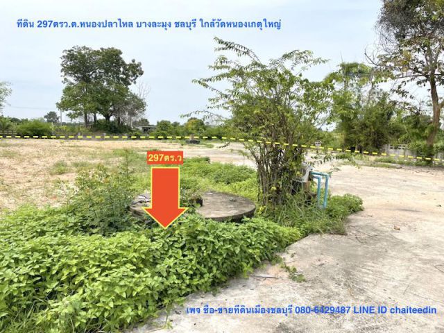 ###ขายที่ดินหนองปลาไหล เนื้อที่ 297ตรว.ใกล้วัดหนองเกตุใหญ่ เหมาะปลูกบ้านพักอาศัย ###