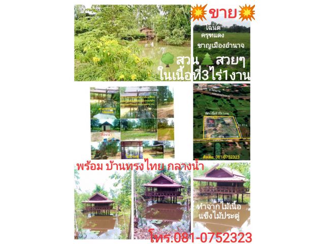 ขายสวนไกล้เมืองถูกๆ พร้อมบ้านทรงไทยกลางนำ้   เนื้อที่ 3ไร่ 1งาน