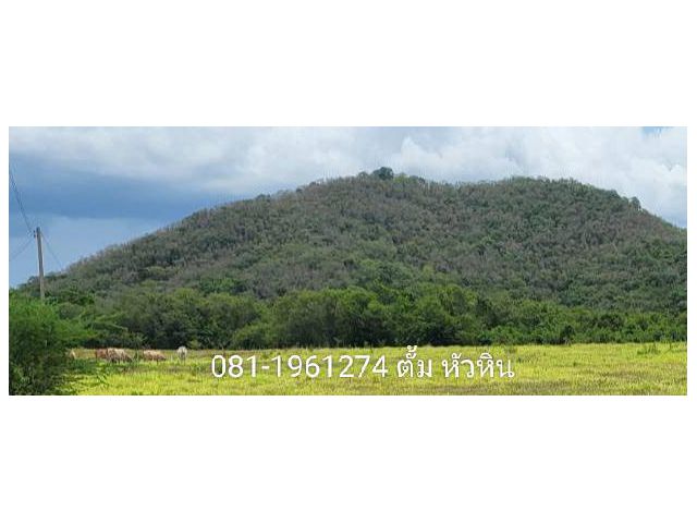 ขายที่ดินโฉนด 200 ไร่ ฝั่งไปวัดห้วยมงคล เหมาะทําอสังหา  ฯ