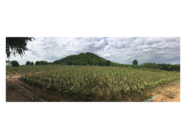 ขายที่ดินหัวหิน ตำบลทับใต้ อำเภอหัวหิน จังหวัดประจวบคีรีขันธ์