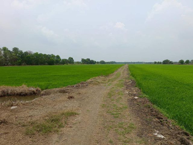 ขายที่ดิน 74 ไร่ 43ตรว. คลองสาม คลองหลวง จ.ปทุมธานี