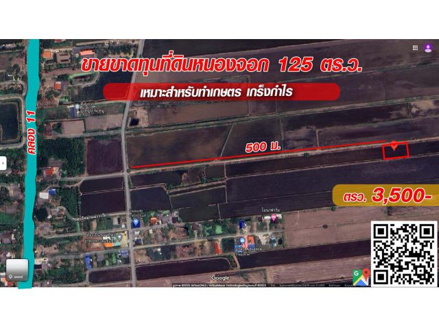 ขายที่ดินราคาถูก 125 ตรว. มีแปลงเดียวเท่านั้น หนองจอก กรุงเทพฯ