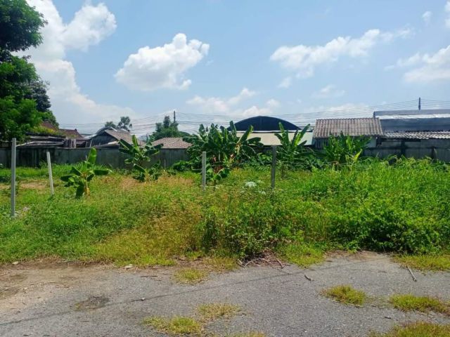 ขายที่ดินตำบลป่าตันพร้อมสร้างบ้านติดถนนคอนกรีตพร้อมโอน
