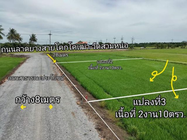 ขายที่ดินต.โคกโคเฒ่า อ.เมือง จ.สุพรรณบุรี เนื้อที่ 2งาน10ตรว.