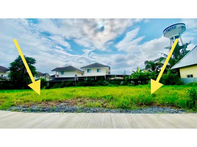 ขายที่ดินข้างโฺฮมโปรสันทรายสันทรายน้อยพร้อมโอน
