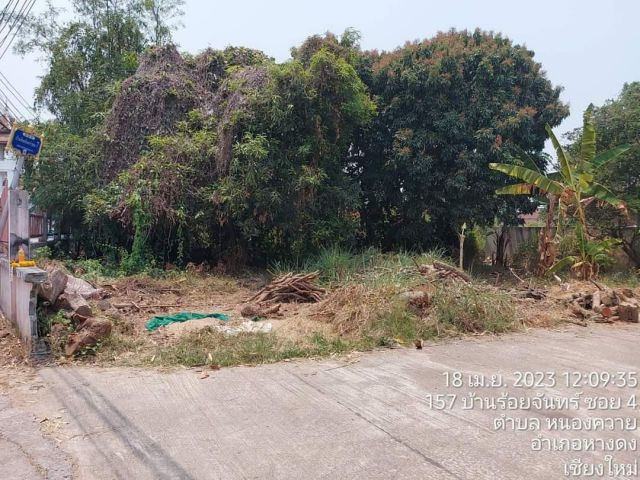 ขายที่ดินใกล้สี่แยกสะเมิงแปลงมุมตำบลหนองควายหางดง