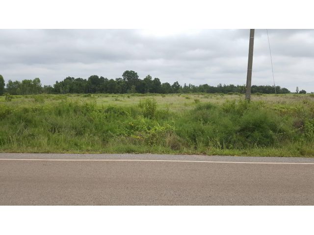 ขายที่ดิน สวยติดถนน นาคำ บ้านดุง  29ไร่ 49 ตรว   3.8   ล้านบาท