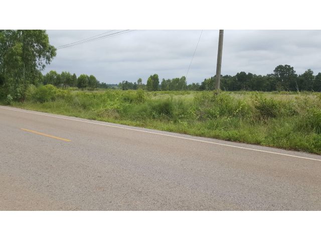 ขายที่ดิน สวยติดถนน นาคำ บ้านดุง  29ไร่ 49 ตรว   3.8   ล้านบาท