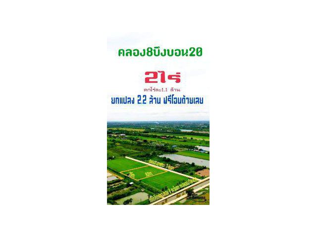 ขาย ที่ดิน 
~ TP-PS 0007
~ คลอง 8 หนองเสือ บึงบอน 20 และ
~ คลอง 7 หนองเสือ บึงบอน 2 ไร่