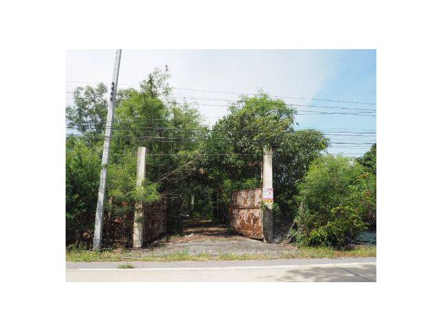 ขาย ที่ดิน 
~ TP-PT 0018
~ คลอง 9 หนองเสือ ปทุมธานี 1 ไร่
