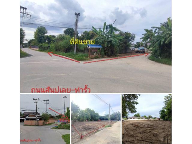 #*ขายที่ดิน2ไร่ อยู่ติดถนนบ้านสันปูเลย-ท่ารั้ว ใกล้วัดสันปูเลยสะหลีเวียงแก้วแค่500ม.ด้านข้างติดถนนซอย ขายถูกที่สุด