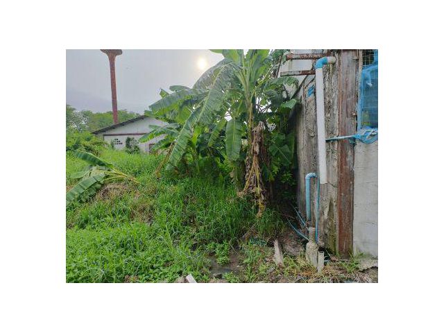 ขาย ที่ดิน 
~ TP-PNG 0020
~ คลอง 6 ตะวันออก 30 ตร.วา