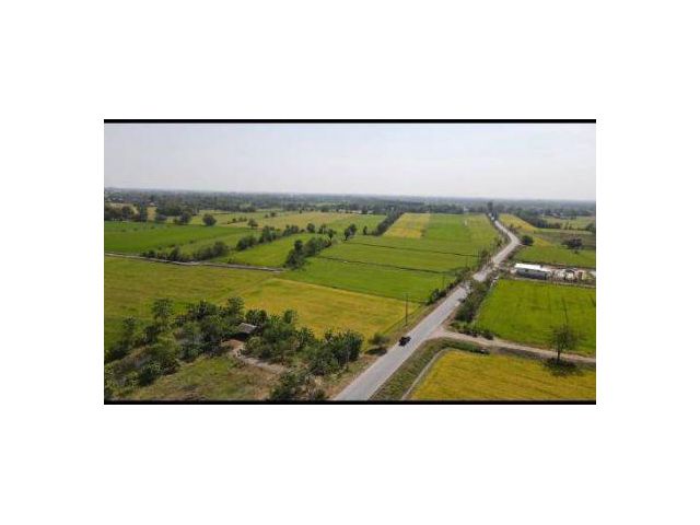 ขาย ที่ดิน 
~ TP-PV 0023
~ บ้านพริก บ้านนา นครนายก 100 ตร.วา