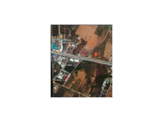 ขาย ในเขตอำเภอเมือง นครราชสีมา บริเวณ ข้างหน้า มทส. ประตู1 ขนาด พื้นที่ 9ไร่ 1งาน 24 ตรว = 3724ตรว.เอกสารโฉนด นส.4จ. 75ล
