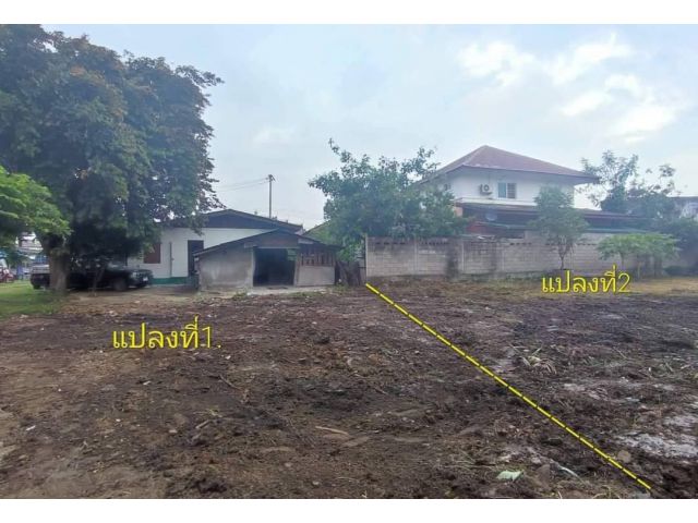 ขายที่ดินหลังตลาดแม่เหียะห่่างตลาดสดเพียง 900เมตร