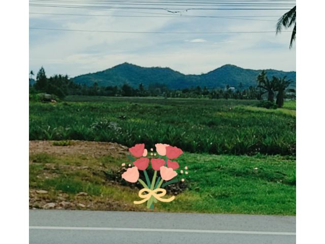 ขายที่ดินโฉนด วิวเขา ทำเลดี  ติดถนนดำ ซอยวังก์พง18