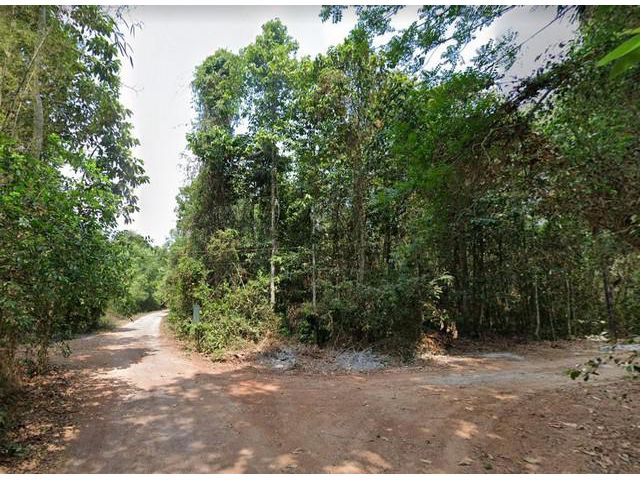 ขายที่ดินดงบัง 5 ไร่ ติดถ.คอนกรีต 2 ด้าน ใกล้ถนนเส้นสุวรรณศร 33 - 4 กม. อ.ประจันตคาม จ.ปราจีนบุรี