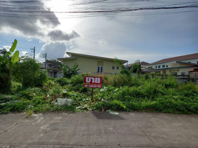 ขายที่ดิน