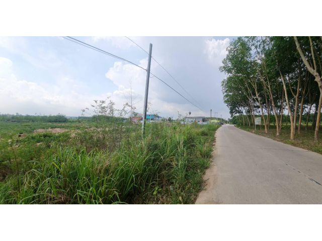 ขายที่ดิน  ถนนสายหลังไร่ ต.แม่น้ำคู้ อ.ปลวกแดง จ.ระยอง