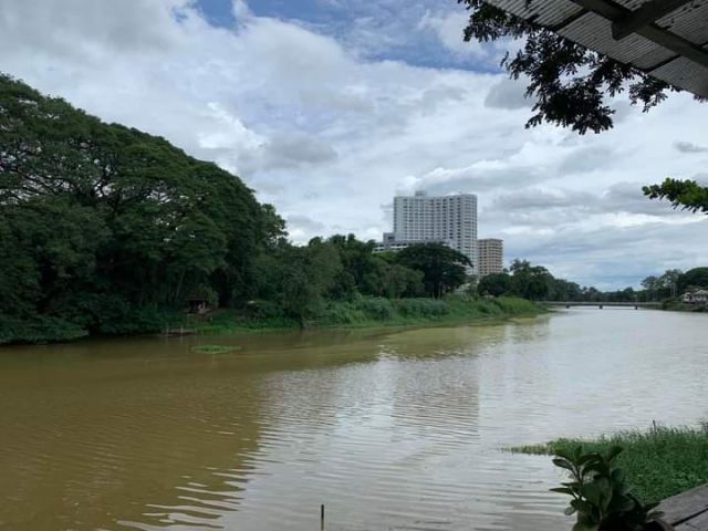 ขายที่ดินตำบลหนองหอยติดริมแม่น้ำปิงกลางเมืองเชียงใหม่