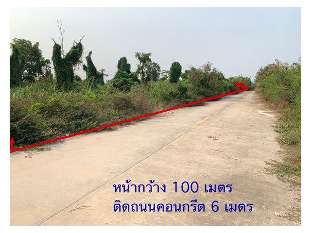 ขายที่ดินเปล่า 2ไร่ ลำลูกกาคลอง12 อ.ลำลูกกา จ.ปทุมธานี ติดถนนคอนกรีตกว้าง 6เมตร โทร 0863171795