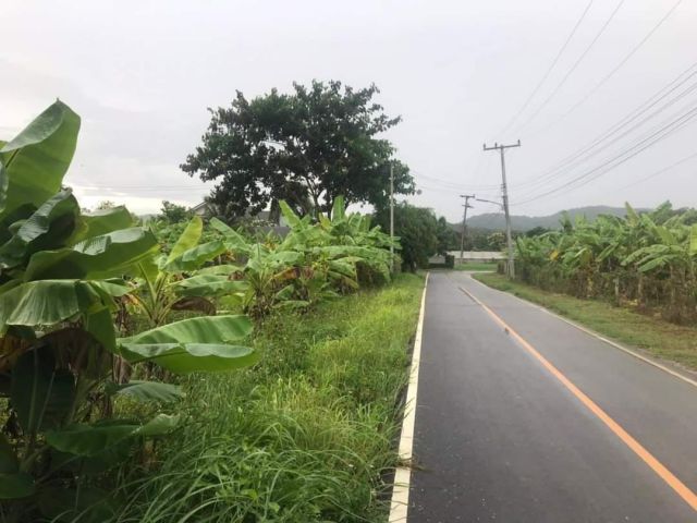 ขายที่ดินตำบลหนองควายหางดงห่างถนนสายหลัก 450เมตร