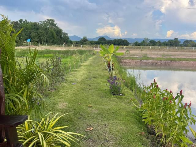 ขายที่ดินจัดสรรสด/ผ่อน เริ่มต้น 200 ตรว. ใกล้ถนนเส้นสุวรรณศร 33 - 600 เมตร อ.เมืองนครนายก จ.นครนายก