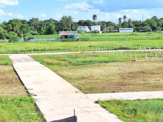ที่ดินหนองจ๊อม สันทราย เชียงใหม่ ใกล้เมือง วิวดอย