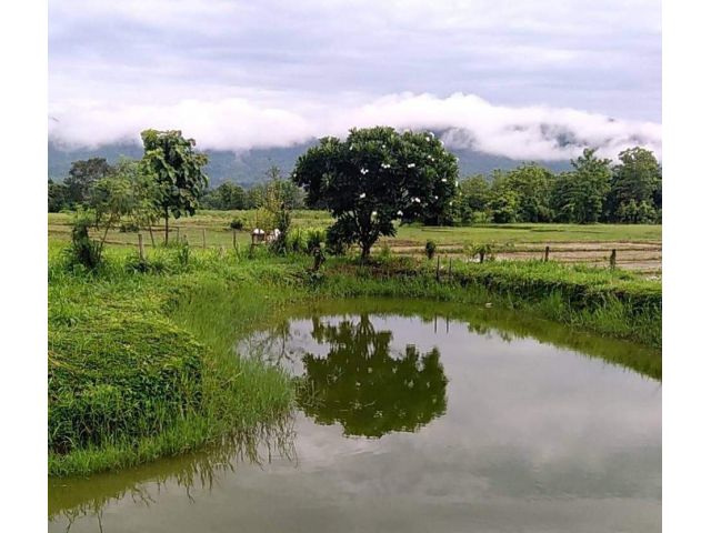 ขายที่ดินบ้านสันกำแพงแม่ออนออนใต้วิวภูเขาพร้อมโอน