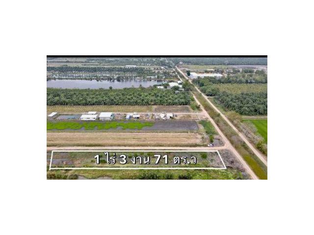 ขาย ที่ดิน 
~ TP-PV 0037
~ บึงบอน คลอง 8 หนองเสือ ปทุมธานี 1 ไร่ 3 งาน 71 ตร.วา