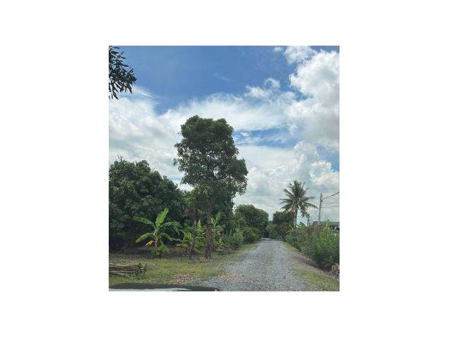 ขาย ที่ดิน 
~ TP-PT 0038
~ เกาะเกิด บางปะอิน อยุทธยา 2 ไร่ 99 ตร.วา