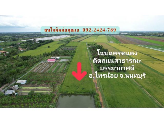 ขายที่ดินนนทบุรี  2 ไร่ ที่สวยราคาดี โฉนดครุฑแดง ฟรีโอน