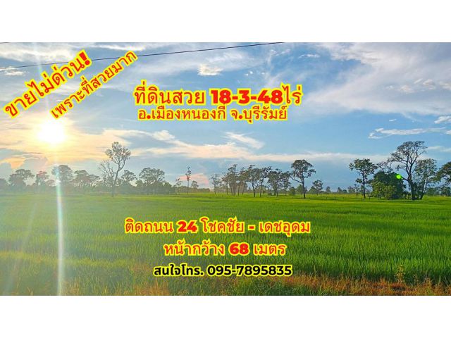 *ขายไม่ด่วน เพราะที่สวยมาก!*ขายที่ดินบุรีรัมย์ อ.หนองกี่ 18-3-48ไร่ ติดถนน24 โชคชัย-เดชอุดม หน้ากว้าง ประมาณ 68 เมตร