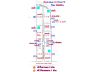 เงินสด/ผ่อน (โฉนด) ที่ดินแบ่ง 200-400 ตรว. (บรรยากาศวิวภูเขาล้อมรอบ 360° ) ถนนหินคลุก ไฟฟ้า น้ำประปา ซอย 1 ใต้ ต.นิคมกระเสียว อ.ด่านช้าง จ.สุพรรณบุรี